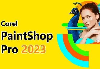 Corel Paintshop Pro 2023 كود رقمي (مدى الحياة / 3 اجهزة كمبيوتر مكتبي)