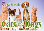My Best Friends - Cats & Dogs ستيم كود رقمي