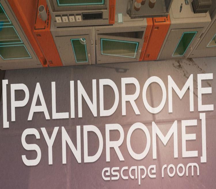 Palindrome Syndrome: Escape Room PC GOG CD Key
