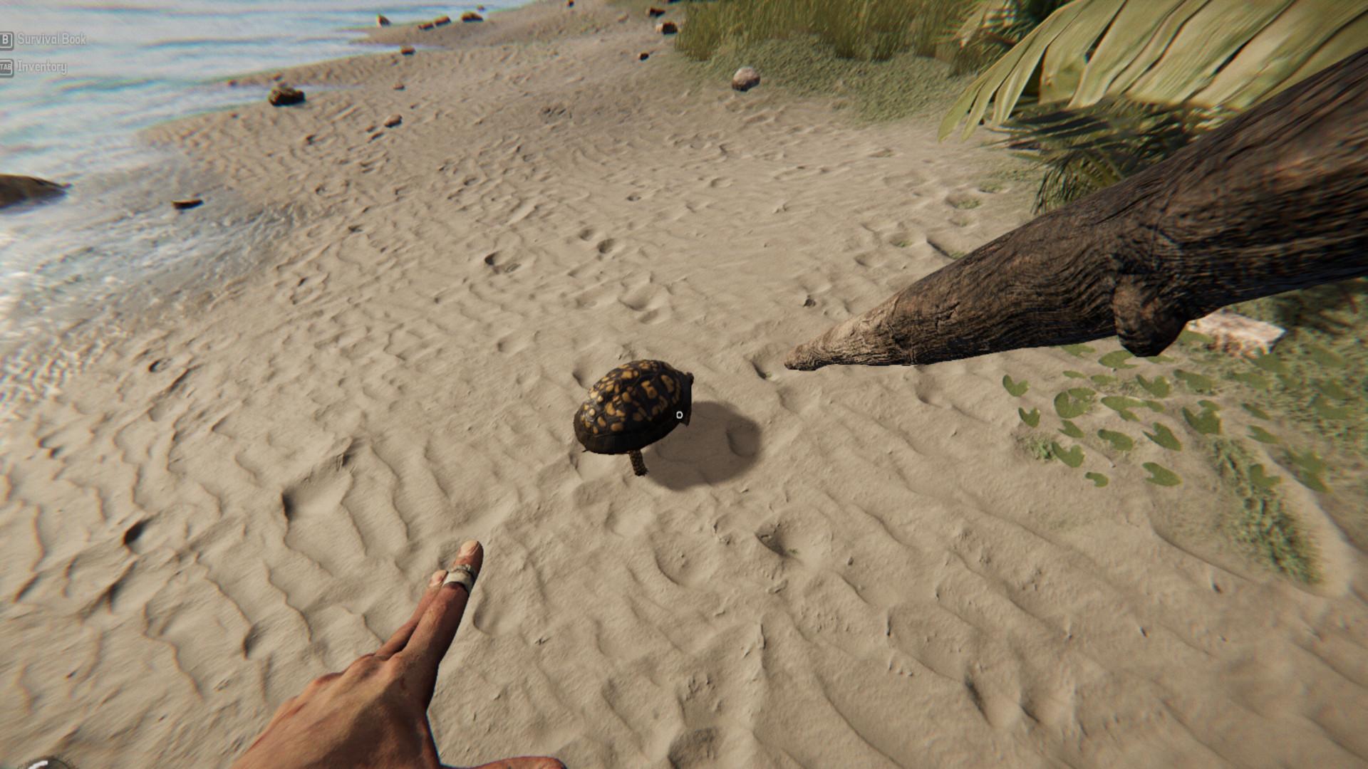 Screen Shot image 4 Project Castaway بي سي ستيم كود رقمي