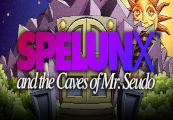 Spelunx And The Caves Of Mr. Seudo ستيم كود رقمي