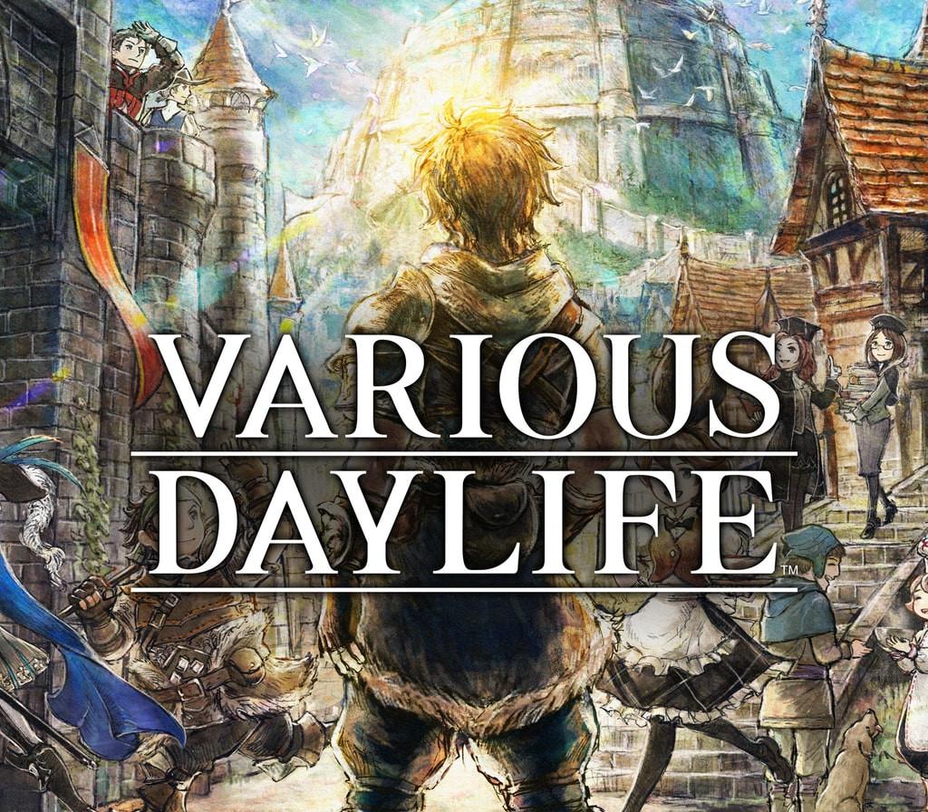 VARIOUS DAYLIFE PC Steam CD Key