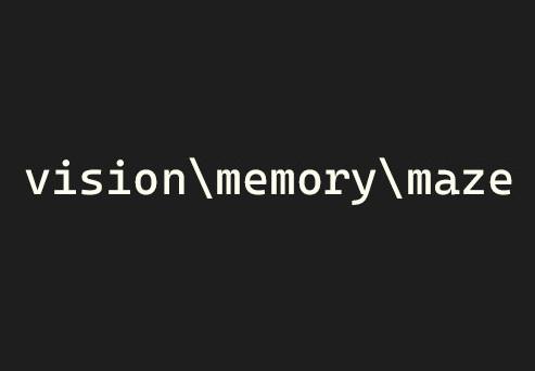 Vision\Memory\Maze ستيم كود رقمي