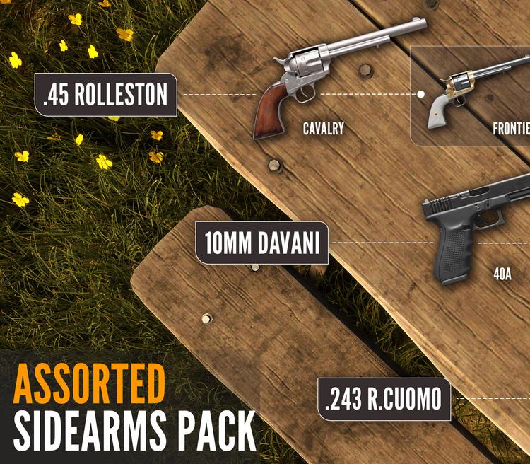 TheHunter: Call Of The Wild - Assorted Sidearms Pack DLC بي سي ستيم كود رقمي (Valid Until March, 2027)