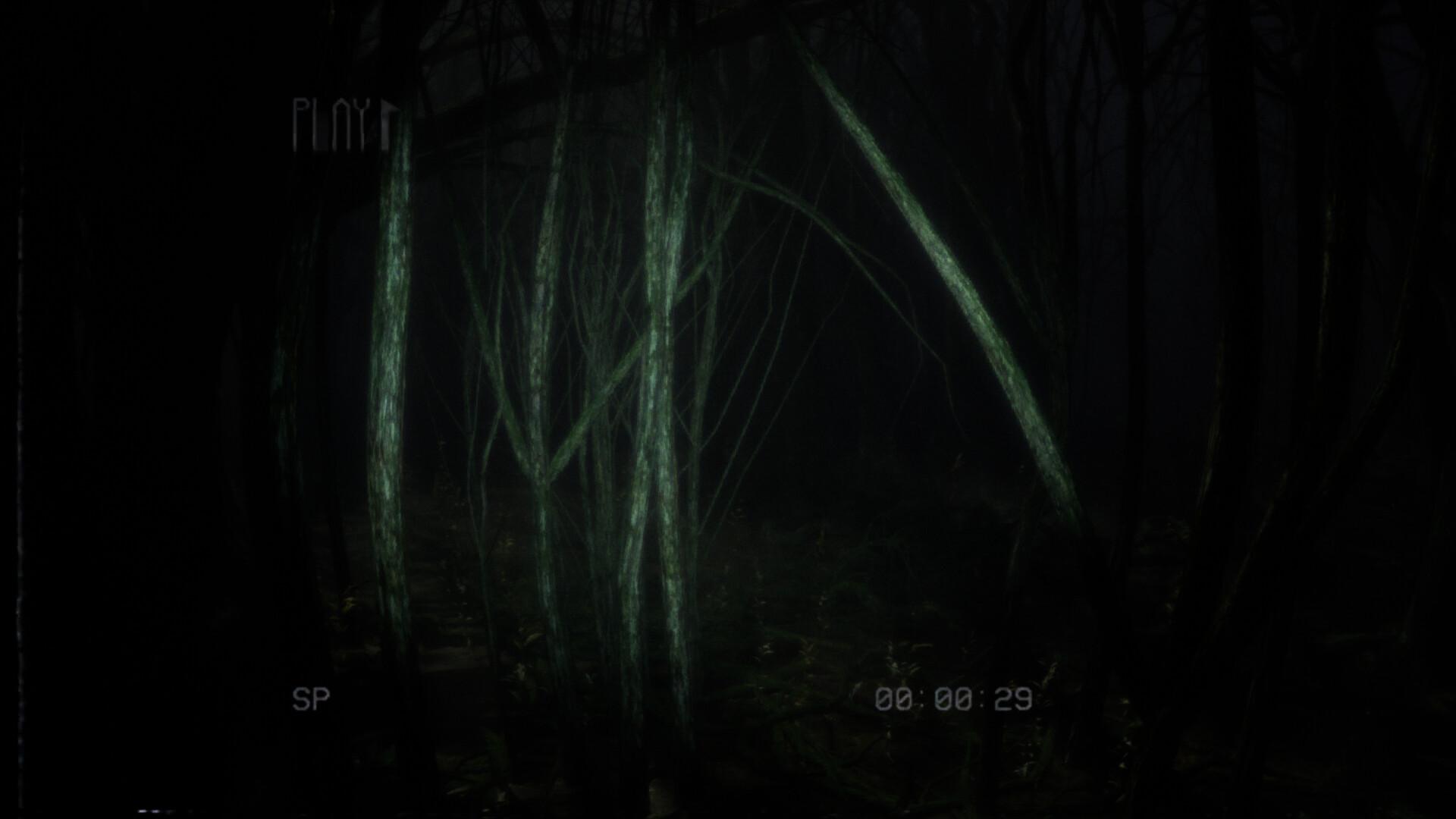 Backrooms Media بي سي ستيم كود رقمي