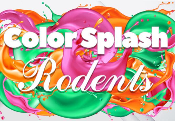 Color Splash: Rodents بي سي ستيم كود رقمي