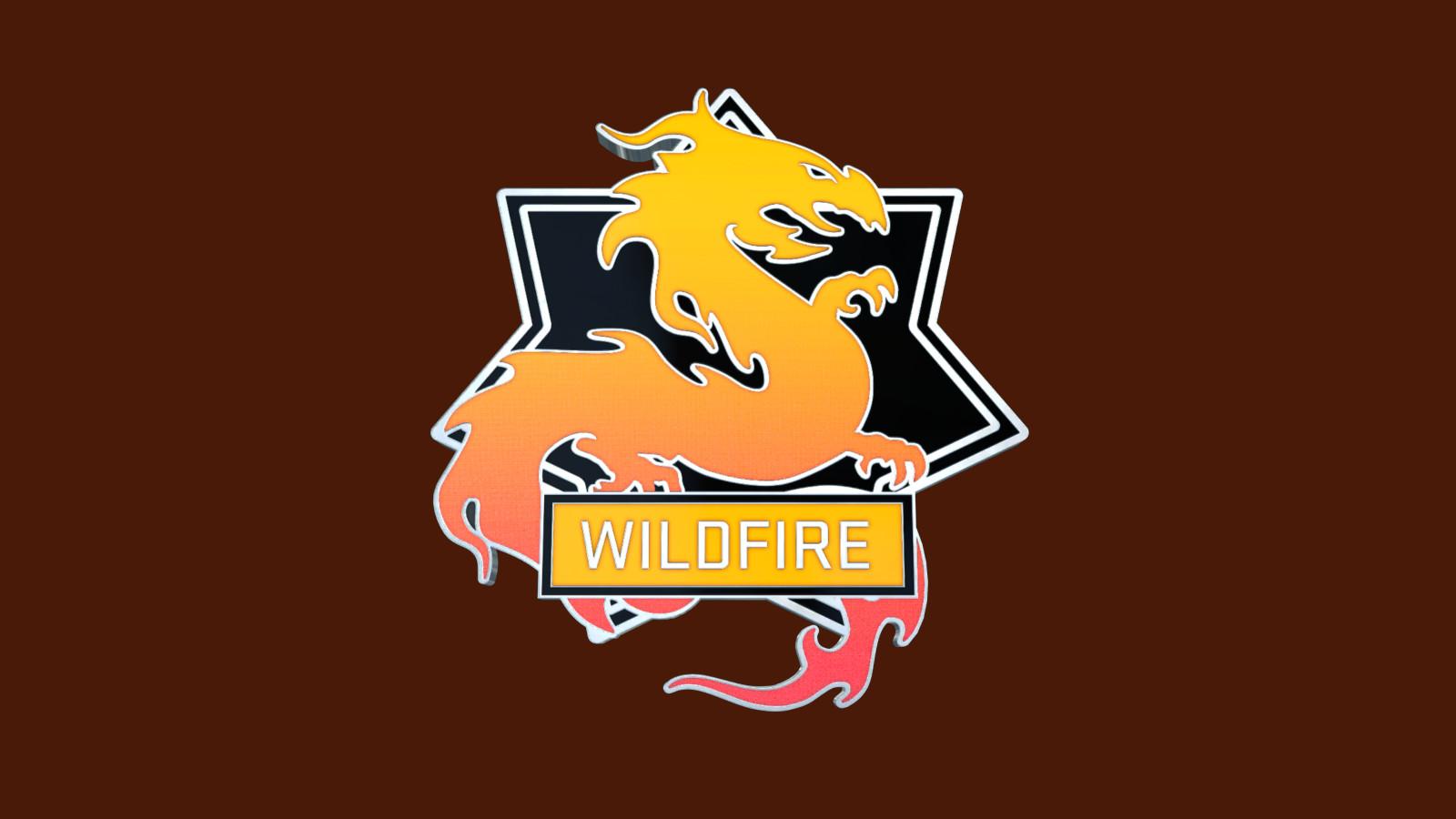 Screen Shot image 0 CS:GO - سيريس 3 - Wildfire Collectible Pin