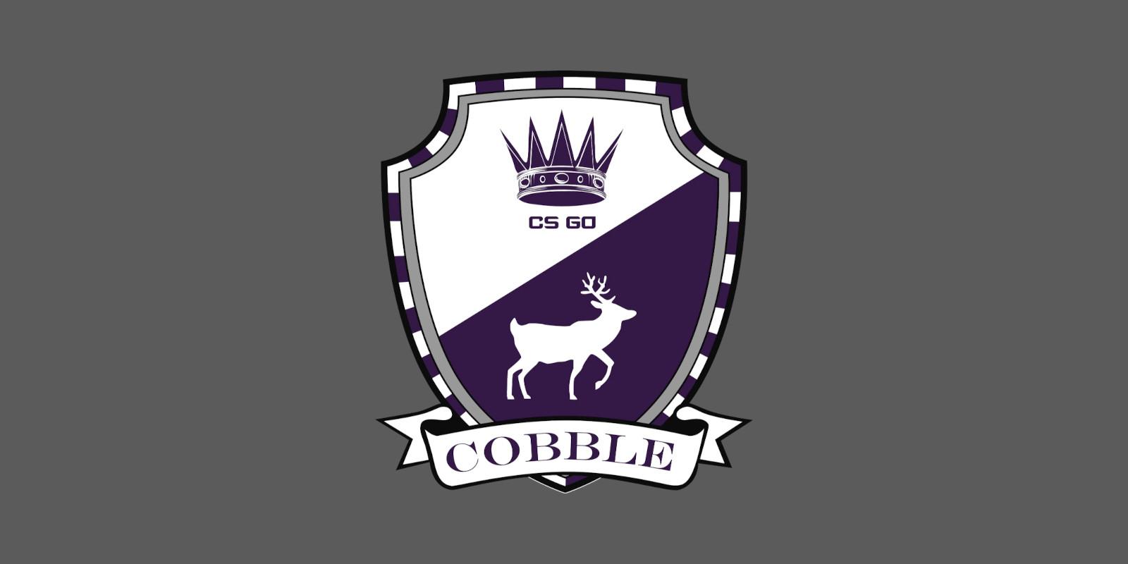 Screen Shot image 0 CS:GO - سيريس 2 - Cobblestone Collectible Pin