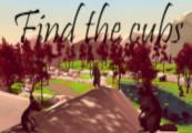 Find The Cubs ستيم كود رقمي