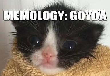 MEMOLOGY: GOYDA بي سي ستيم كود رقمي