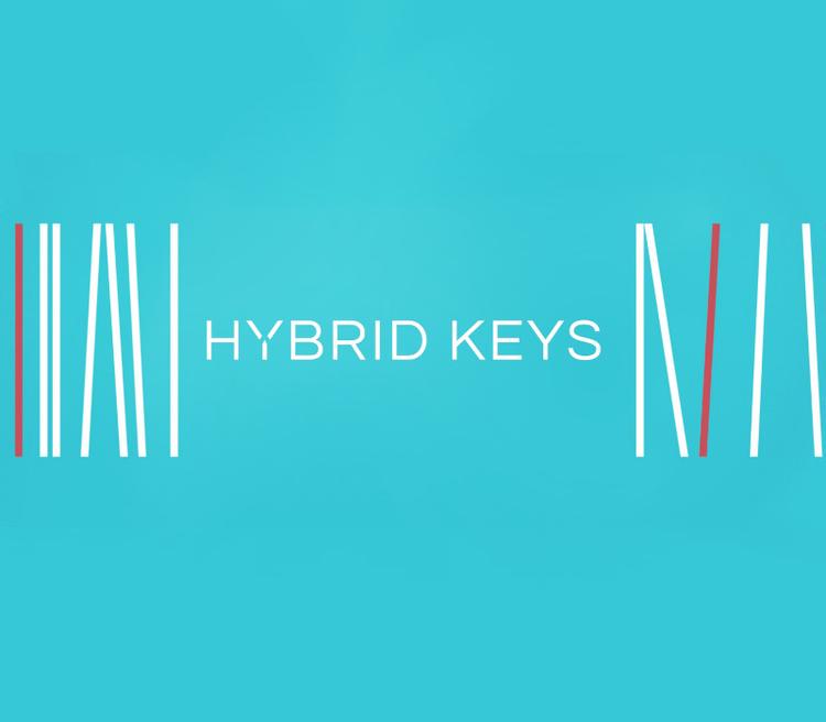 Native Instruments Hybrid Keys بي سي/ماك ابل كود رقمي