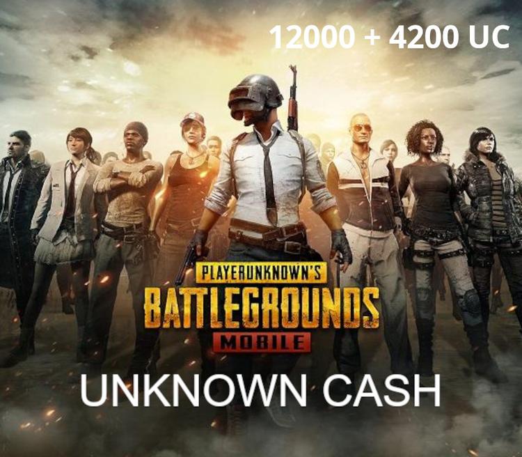 PUBG Mobile - 12000 + 4200 UC SA CD Key