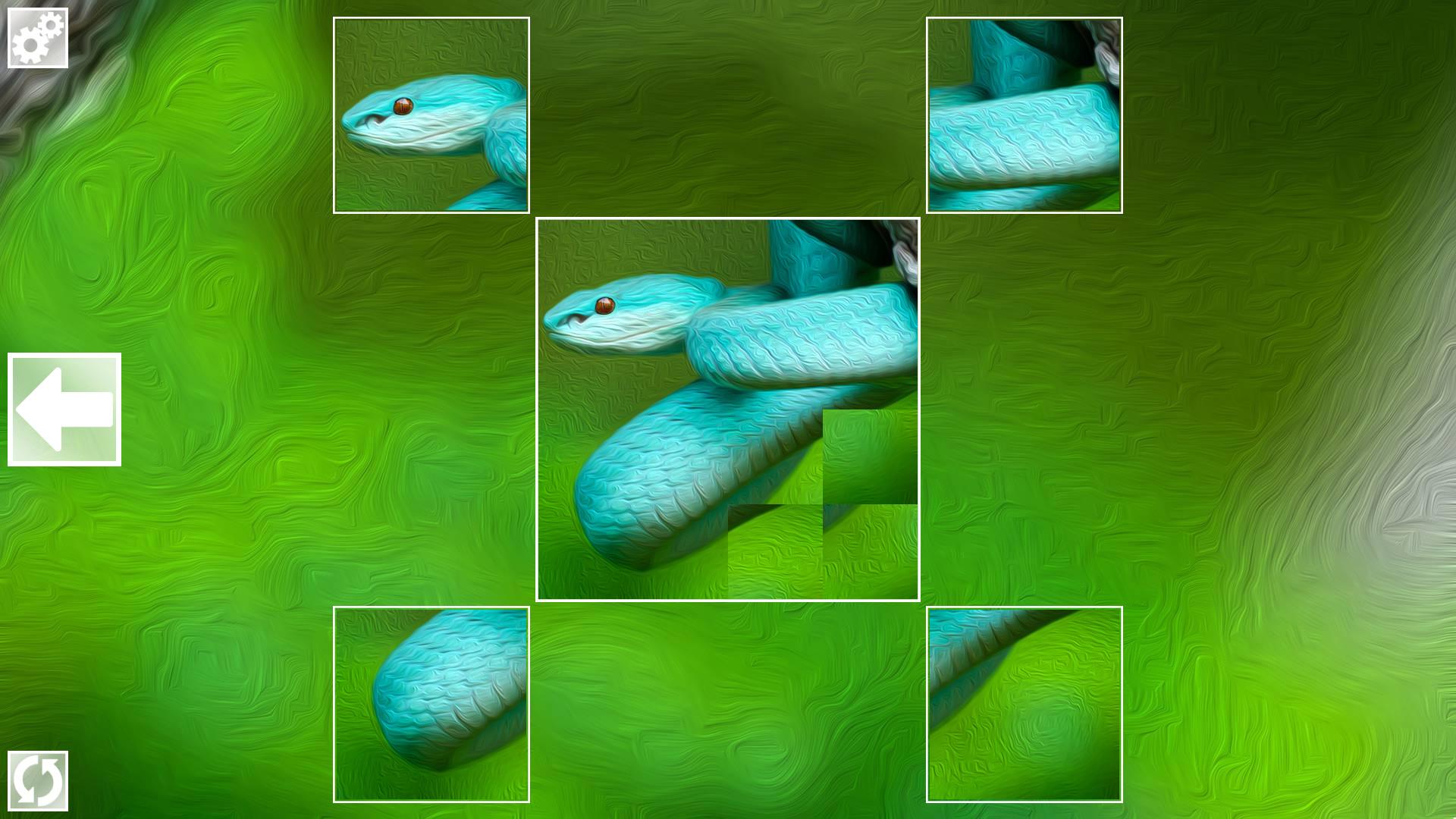 Screen Shot image 3 Puzzle Art: Snakes بي سي ستيم كود رقمي