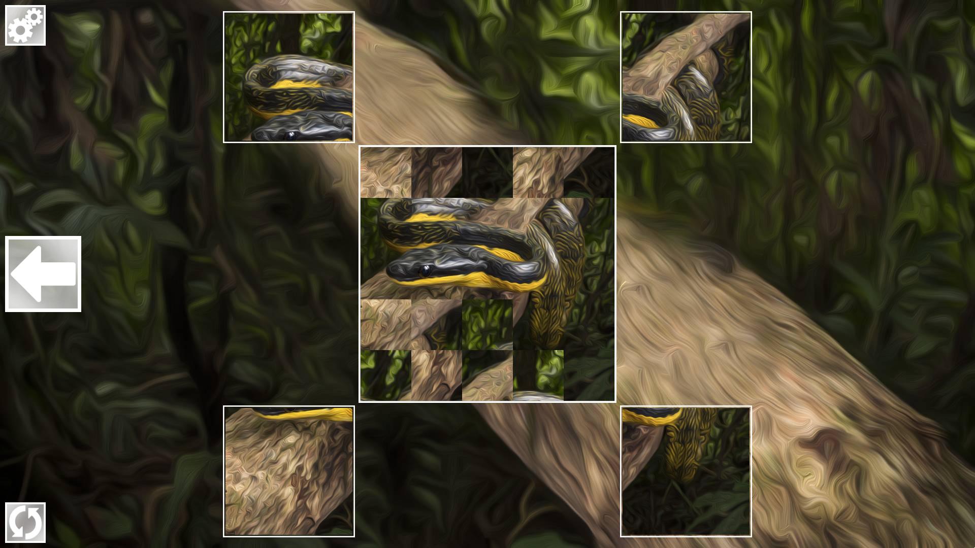 Screen Shot image 0 Puzzle Art: Snakes بي سي ستيم كود رقمي
