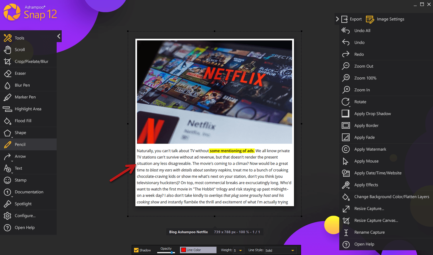 Ashampoo Snap 12 Activation مفتاح