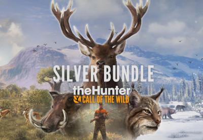TheHunter: Call Of The Wild Silver حزمة ستيم كود رقمي