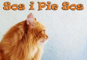 Sos I Pie Sos ستيم كود رقمي