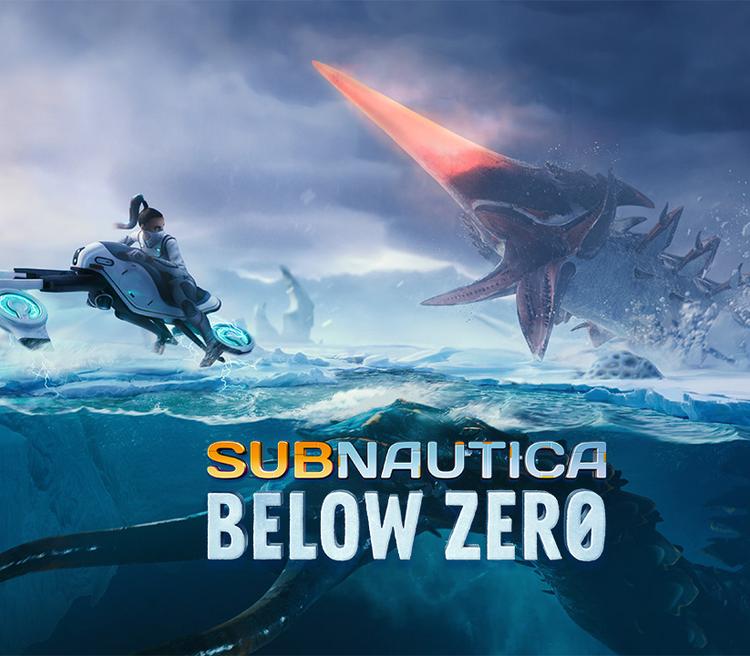 Subnautica: Below Zero PC Steam Account