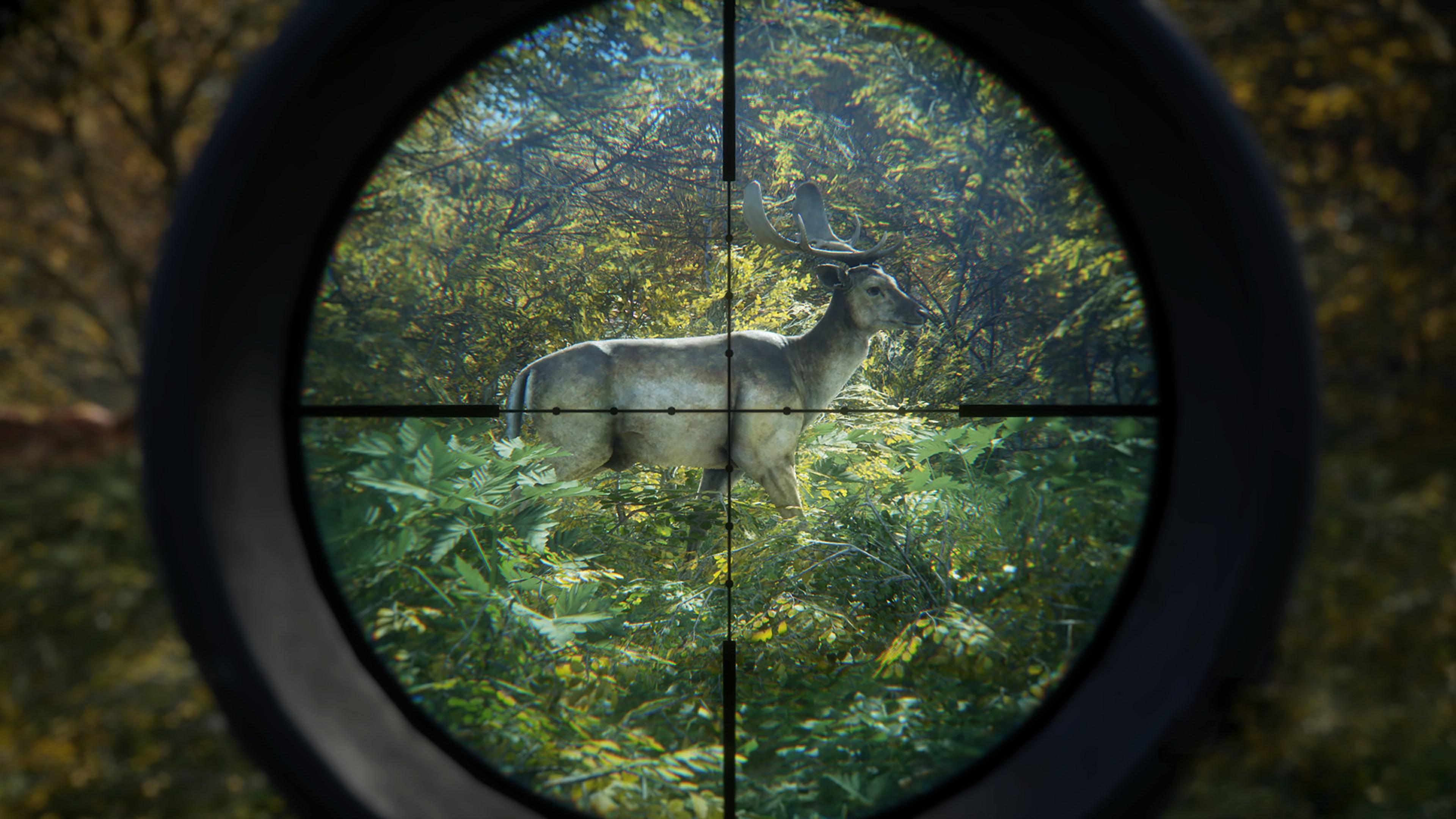 Screen Shot image 2 TheHunter: Call Of The Wild - Greenhorn حزمة ارجنتيني اكسبوكس 1 / إكس بوكس سيريس X|S كود رقمي