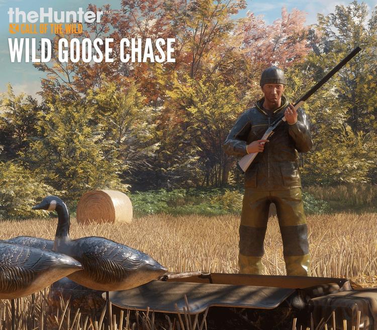 TheHunter: Call Of The Wild - Wild Goose Chase Gear DLC بي سي ستيم كود رقمي