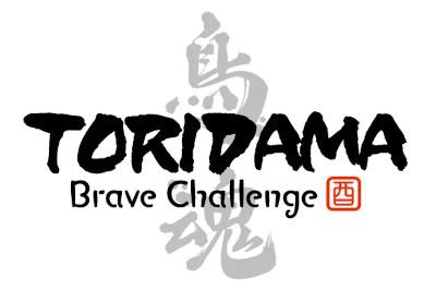 TORIDAMA: Brave Challenge ستيم كود رقمي