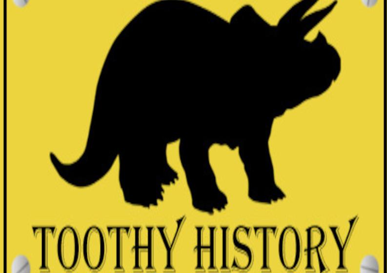 Toothy History ستيم كود رقمي
