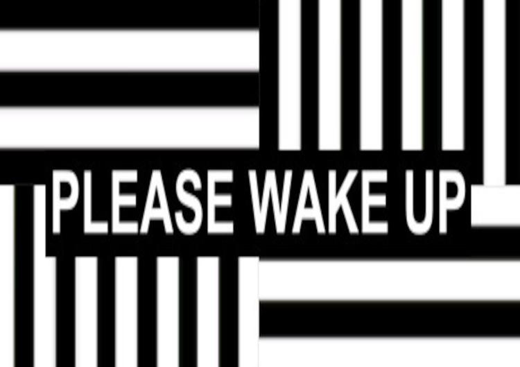 Please Wake Up ستيم كود رقمي