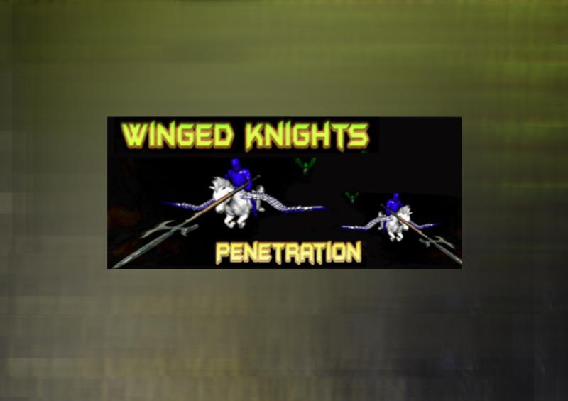 Winged Knights: Penetration ستيم كود رقمي