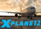 X-Plane 12 ستيم حساب
