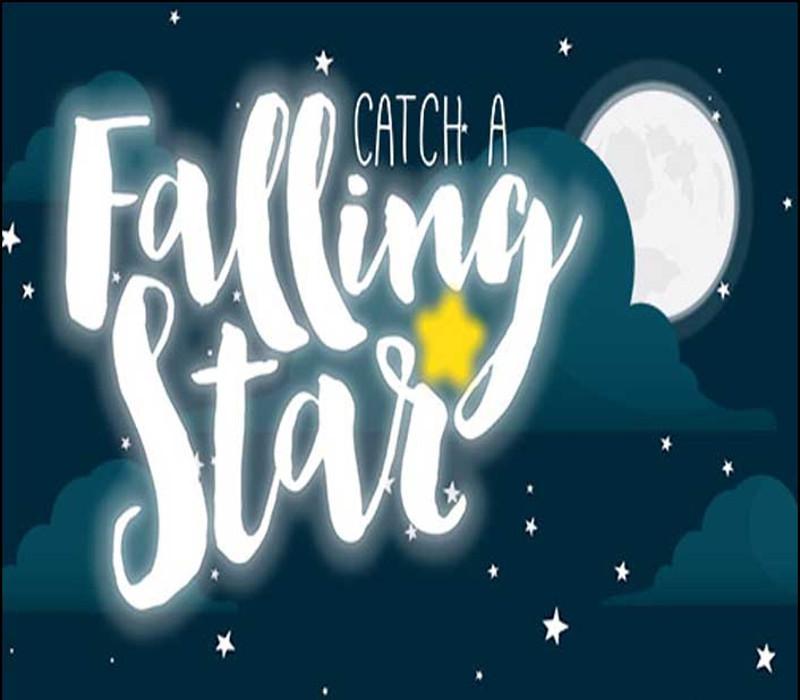 Catch A Falling Star بي سي ستيم كود رقمي