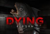 DYING: Reborn بي سي ستيم كود رقمي