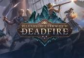 Pillars Of Eternity II: Deadfire RU VPN Required ستيم كود رقمي