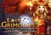 Lost Grimoires 3: The Forgotten Well بي سي ستيم كود رقمي