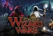 Magicka: Wizard Wars - E3 Robe DLC ستيم كود رقمي