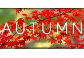 Autumn بي سي ستيم كود رقمي