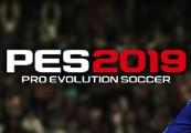 Pro Evolution Soccer 2019 RU/CIS بي سي ستيم كود رقمي