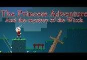 The Princess Adventure ستيم كود رقمي