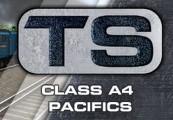 Train Simulator 2017 - Class A4 Pacifics Loco Add-On DLC ستيم كود رقمي