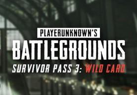 PUBG - Survivor Pass 3: Wild بطاقة DLC RU VPN Activated ستيم كود رقمي