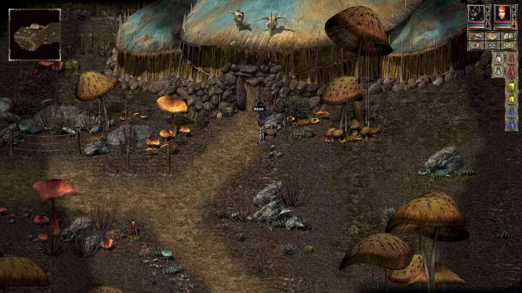 Beyond Divinity GOG كود رقمي