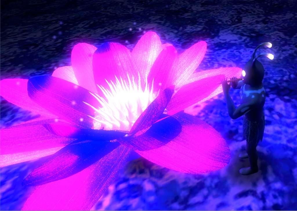 New Kind Of Adventure ستيم كود رقمي