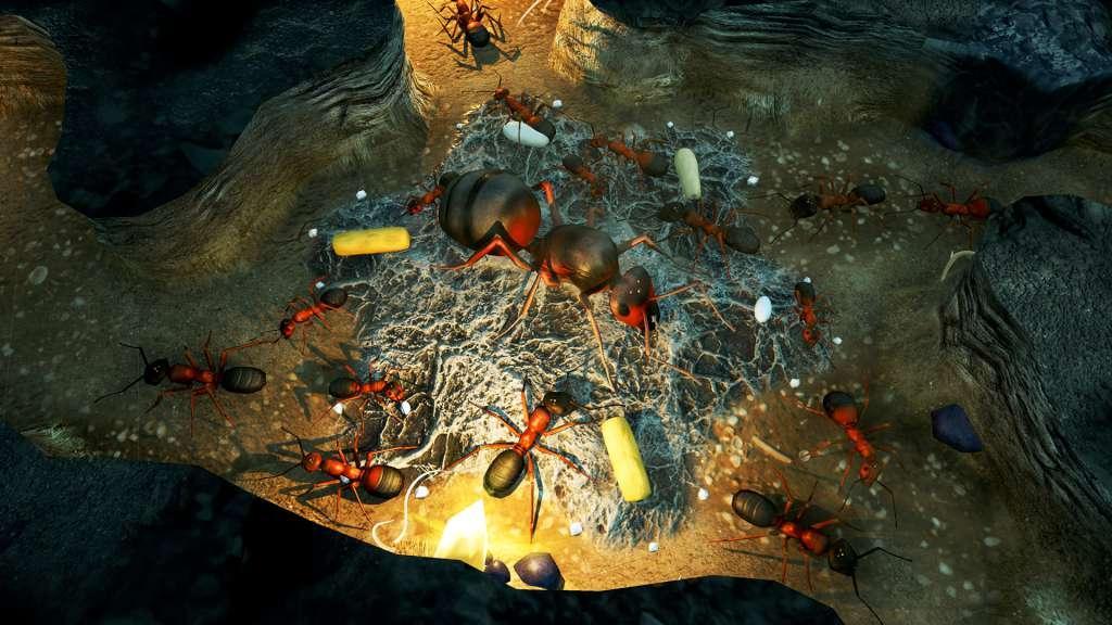 Empires Of The Undergrowth اوروبي رابط هديه ستيم