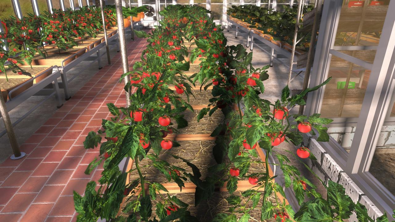 Farmer'S Dynasty اوروبي رابط هديه ستيم