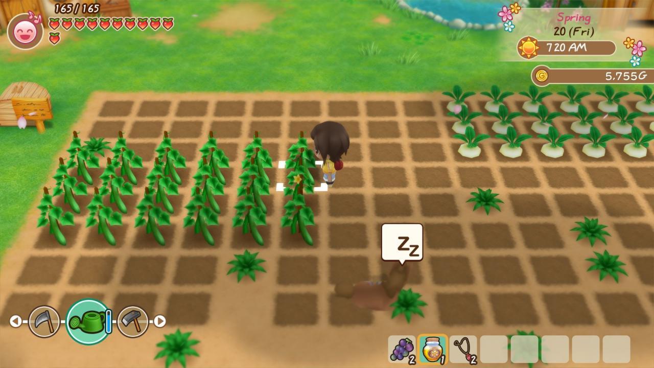 STORY OF SEASONS: Friends Of Mineral Town نينتندو سويتش Online حساب Activation