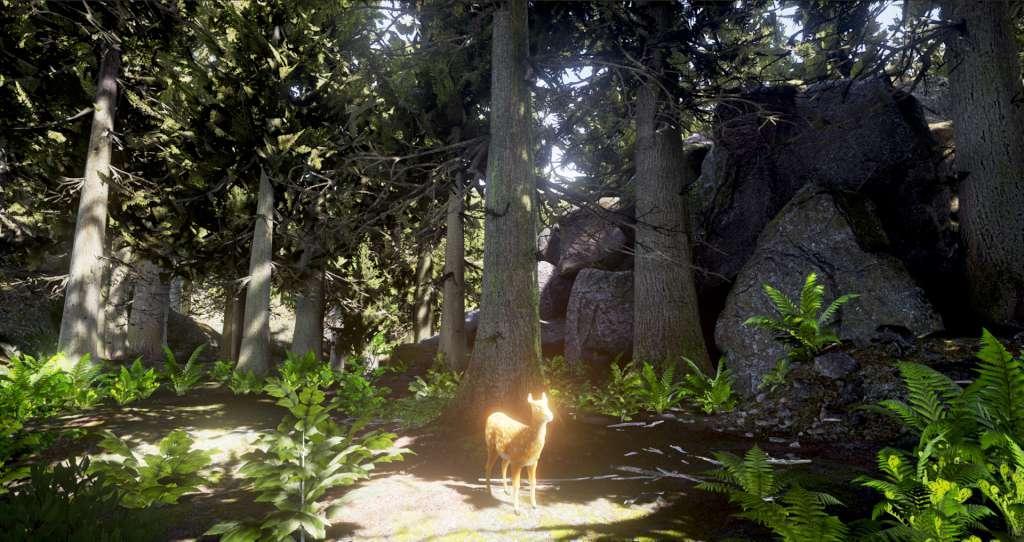 Survivalizm - The Animal Simulator ستيم كود رقمي