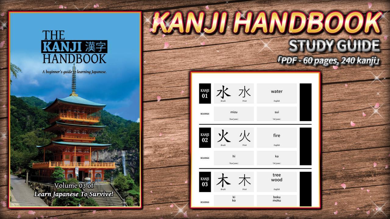 Learn اليابانية To Survive! Kanji Combat - Study Guide DLC ستيم كود رقمي