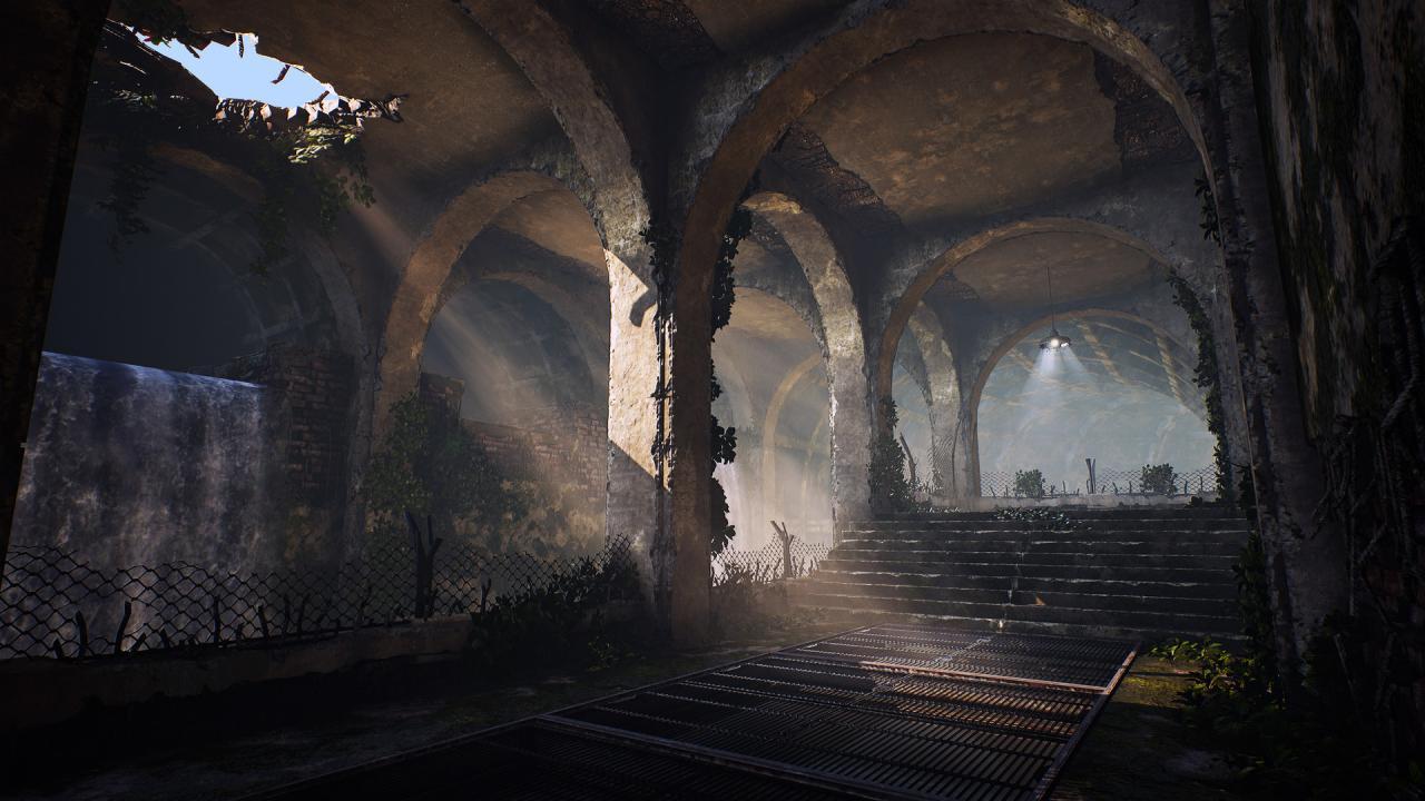 BIOMUTANT رابط هديه ستيم