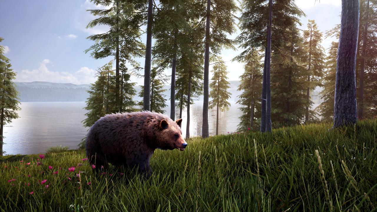 Hunting Simulator 2 - Bear Hunter Pack DLC ستيم كود رقمي