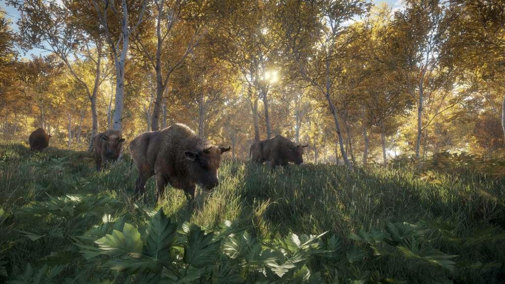TheHunter: Call Of The Wild اوروبي ستيم كود رقمي