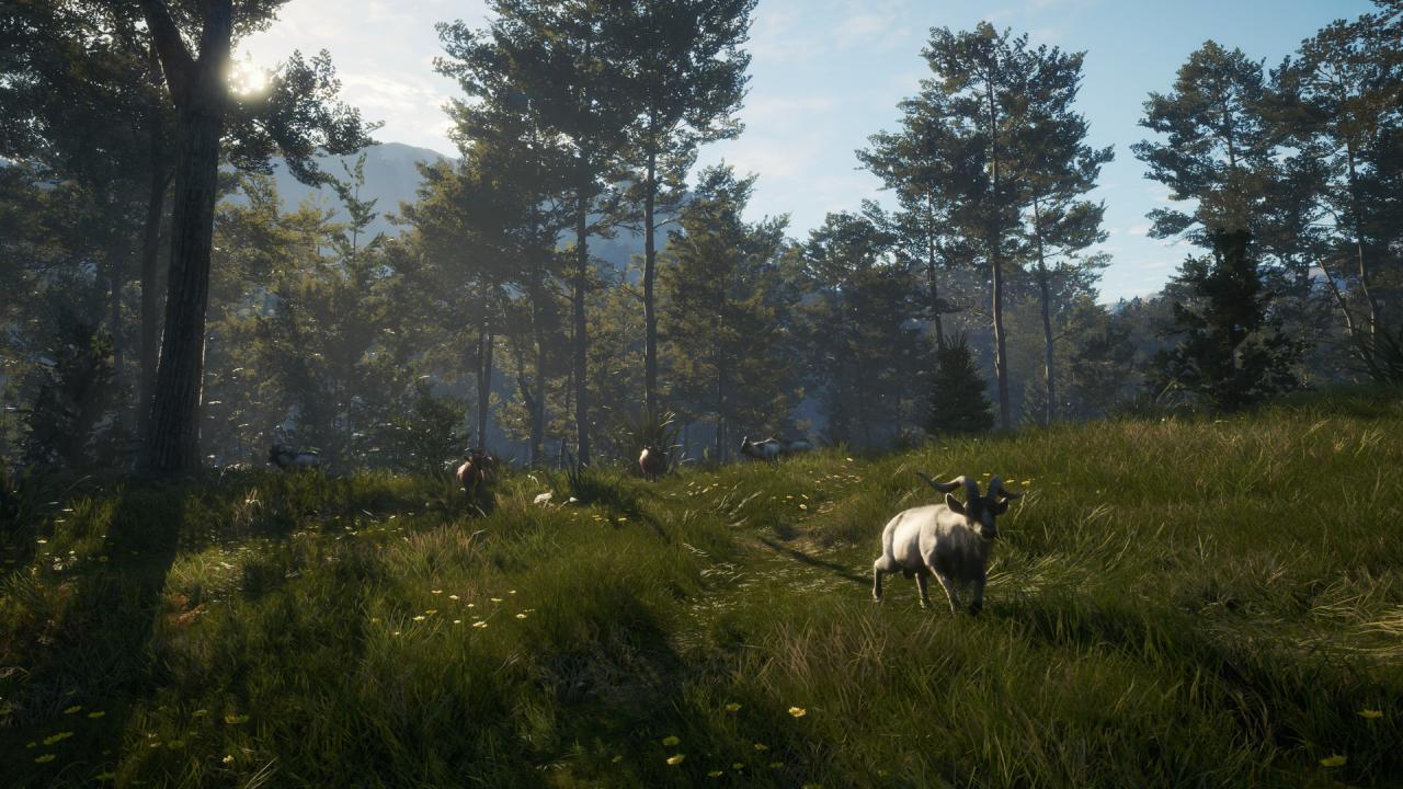 TheHunter: Call Of The Wild - Te Awaroa National Park DLC ستيم كود رقمي
